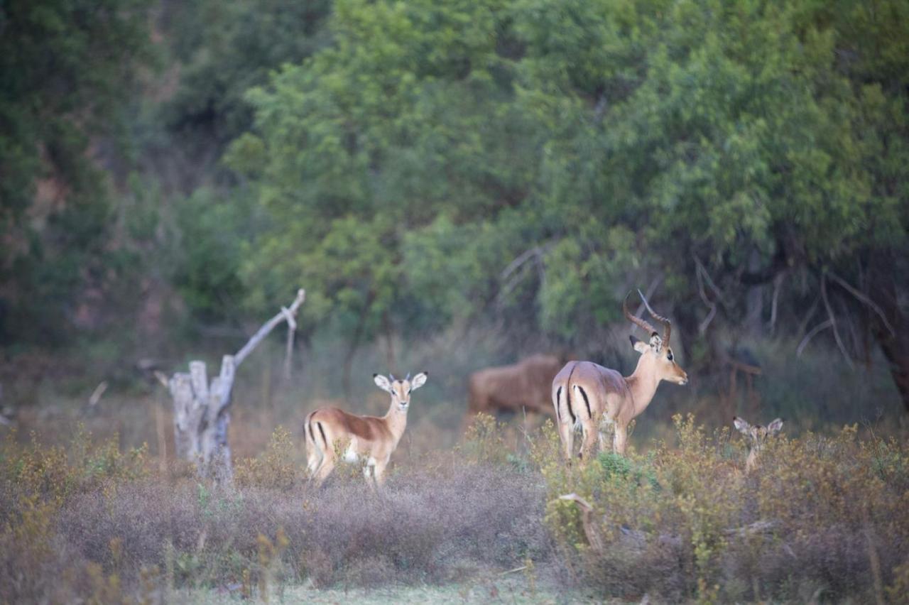 Waterberg Game Lodge Бела-Бела Экстерьер фото