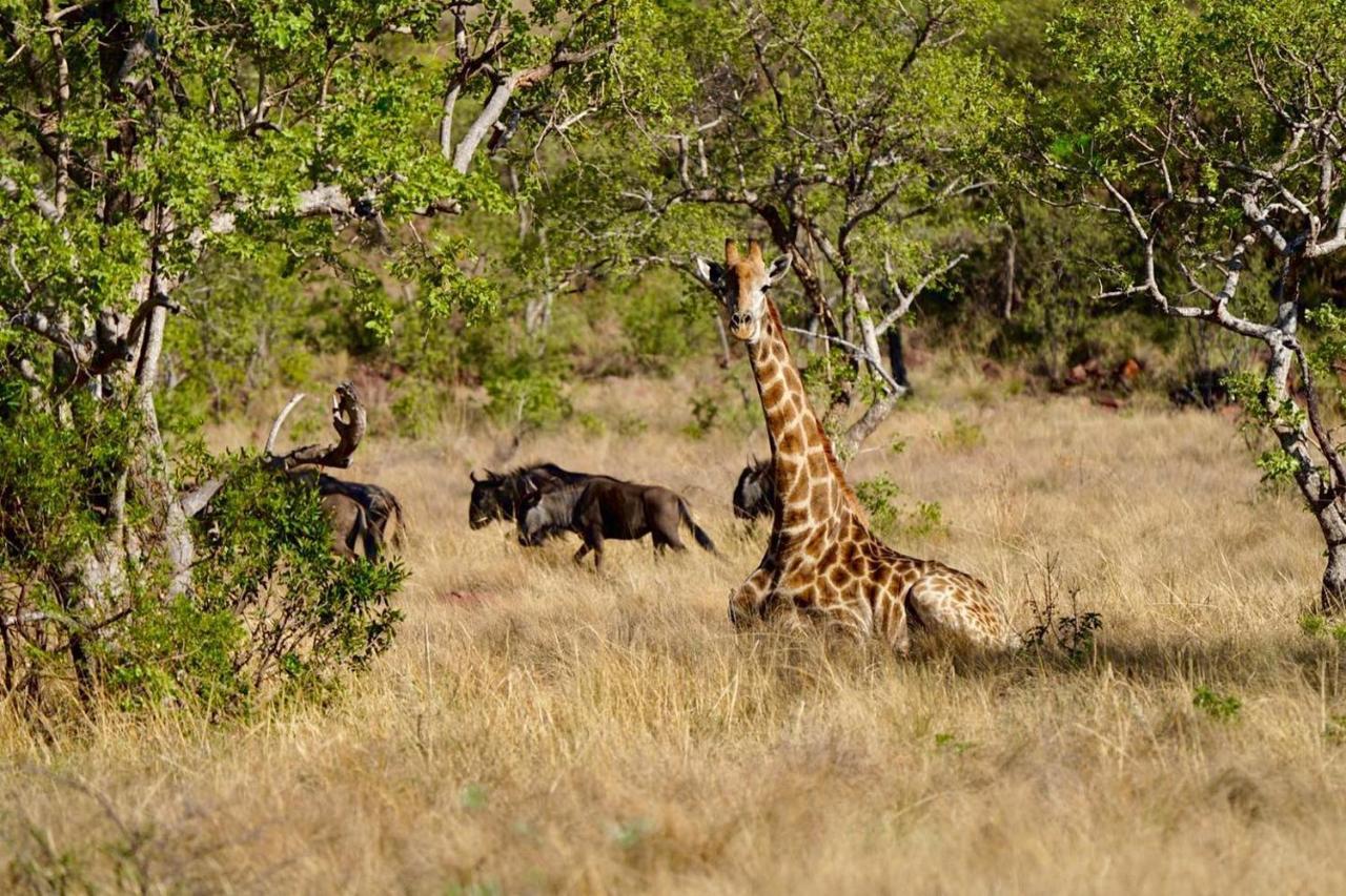 Waterberg Game Lodge Бела-Бела Экстерьер фото